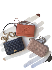 Classic vs. Boy vs. Double CC Chanel Wallets on Chain!-Luxbags