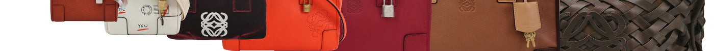Size Guide: Loewe Amazona Bag