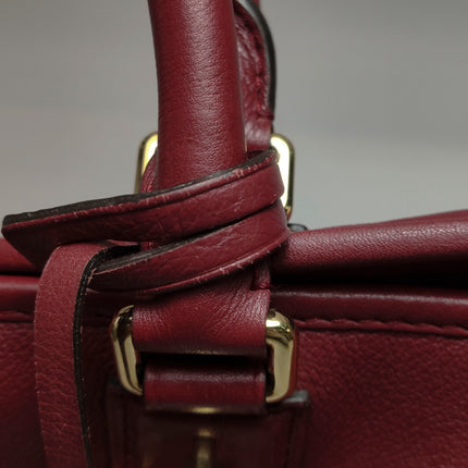 Loewe Amazona 36 Medium Burgundy Leather Dragon Lock Gold-tone Hardware