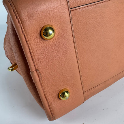 Loewe Amazona Medium 36 Light Coral Leather With Strap Goat Animal Lock
