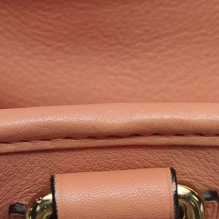 Loewe Amazona 28 in Orange Leather Goat Special Edition