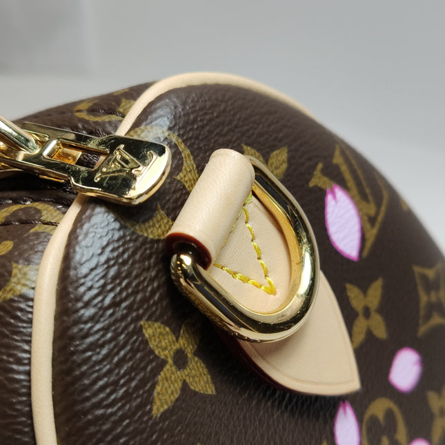 Louis Vuitton x Takashi Murakami Speedy 25 Cherry Blossoms on Monogram Crossbody Bag