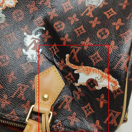 Louis Vuitton Speedy 30 Bandouliere Limited Edition Grace Coddington Catogram Brown
