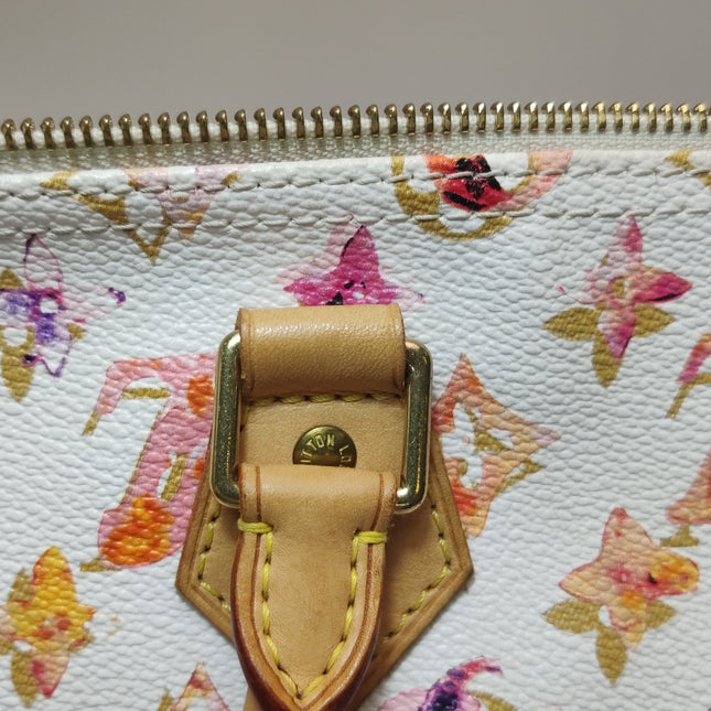 Louis Vuitton Speedy 35 Monogram Watercolor Pink Handbag Richard Prince 2008