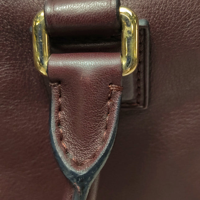 Loewe Amazona 28 in Burgundy Calfskin Leather and Gold-tone Hardware