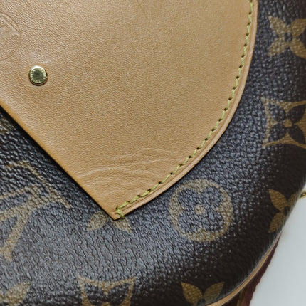 Louis Vuitton Boîte Chapeau Souple Leather MM Crossbody Bag