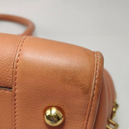 Loewe Amazona Medium 36 Light Coral Leather With Strap Goat Animal Lock