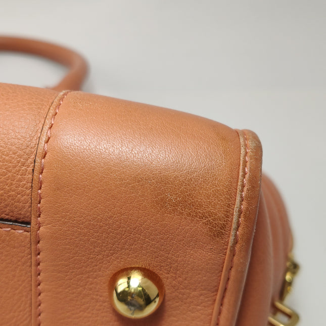 Loewe Amazona Medium 36 Light Coral Leather With Strap Goat Animal Lock