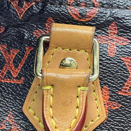 Louis Vuitton Speedy 30 Bandouliere Limited Edition Grace Coddington Catogram Brown