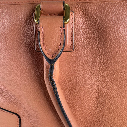 Loewe Amazona Medium 36 Light Coral Leather With Strap Goat Animal Lock