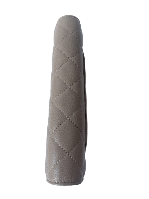 Sold Chanel Wallet on Chain WOC Beige with Silver hardware