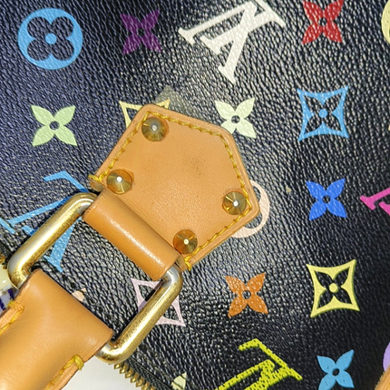 Louis Vuitton x Takashi Murakami Alma Small Black Multicolor