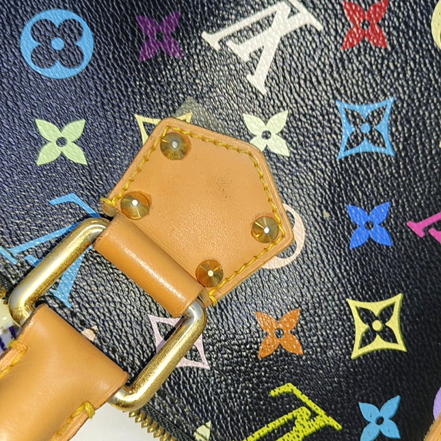 Louis Vuitton x Takashi Murakami Alma Small Black Multicolor