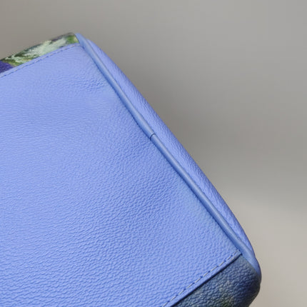 Louis Vuitton x Jeff Koons Speedy 30 Monet Water Lilies Top Handle Bag