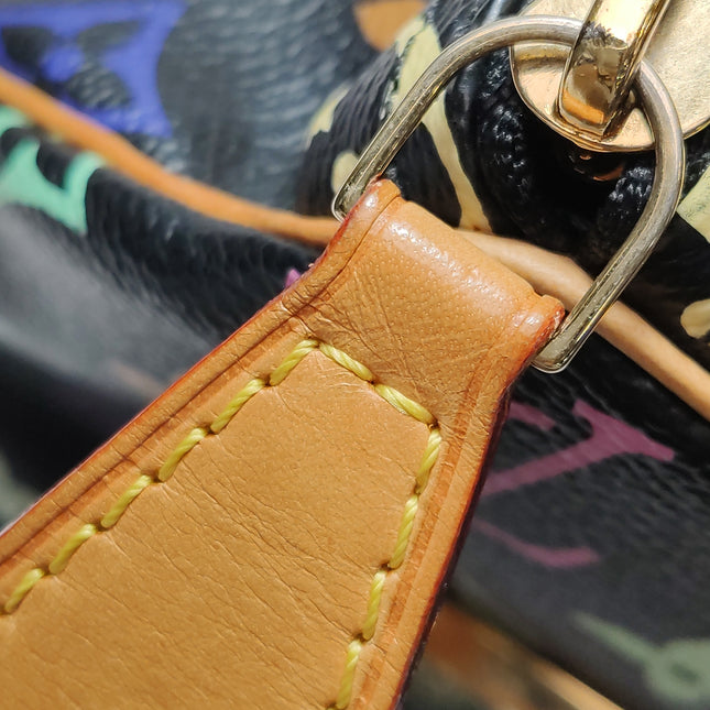Louis Vuitton x Takashi Murakami Speedy 40 Black Multicolor