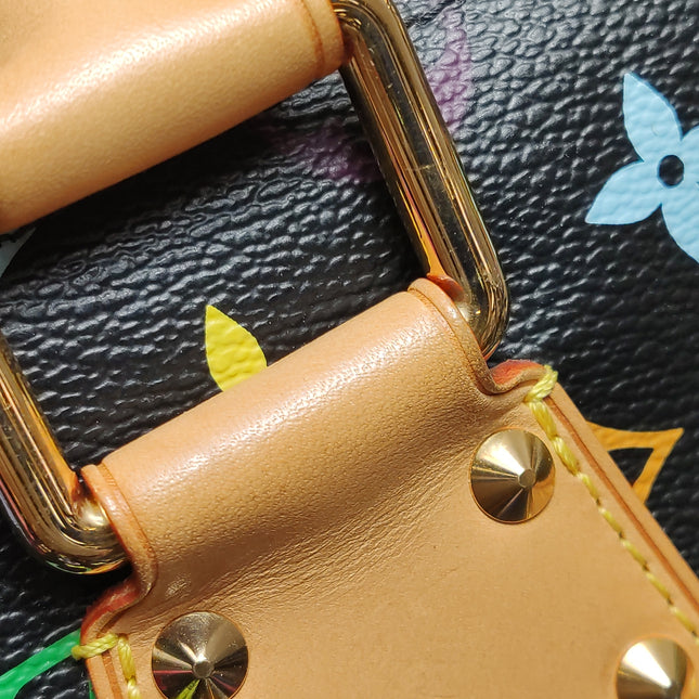 Louis Vuitton x Takashi Murakami Speedy 40 Black Multicolor