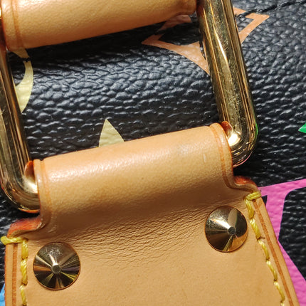 Louis Vuitton x Takashi Murakami Speedy 40 Black Multicolor