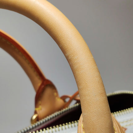 Louis Vuitton x Takashi Murakami Speedy 40 White Multicolor