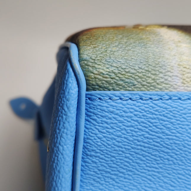 Louis Vuitton x Jeff Koons Speedy 30 Turner Top Handle Bag