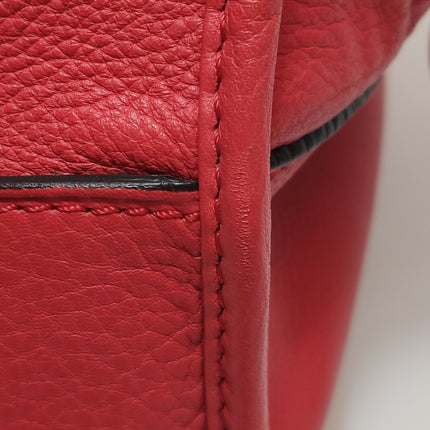 Loewe Amazona 36 Medium Red Leather Snail Lock Gold-tone Hardware