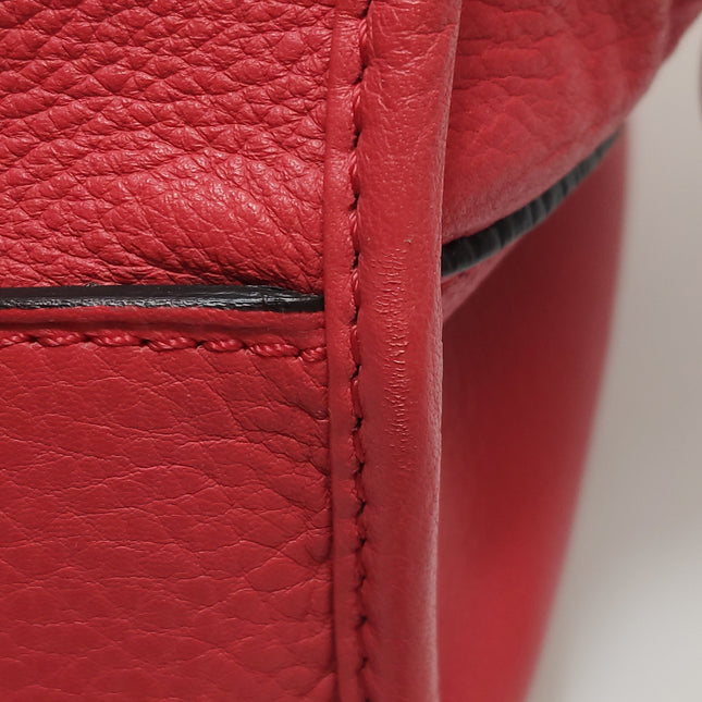 Loewe Amazona 36 Medium Red Leather Snail Lock Gold-tone Hardware