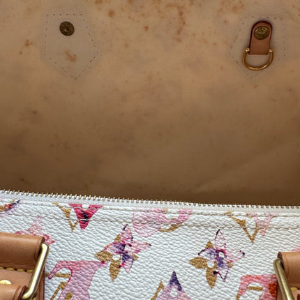 Louis Vuitton Speedy 35 Monogram Watercolor Pink Handbag Richard Prince 2008