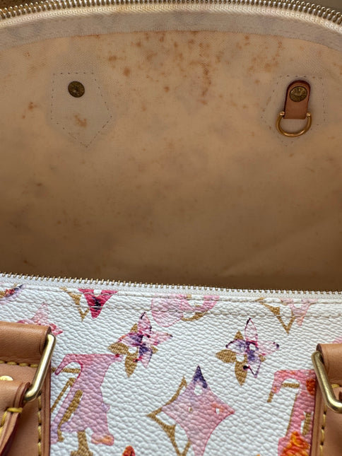 Louis Vuitton Speedy 35 Monogram Watercolor Pink Handbag Richard Prince 2008