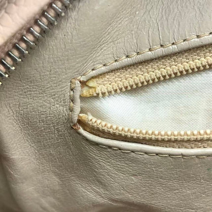 Chanel Medium Camera Case Bag Beige Caviar Leather Gold Hardware