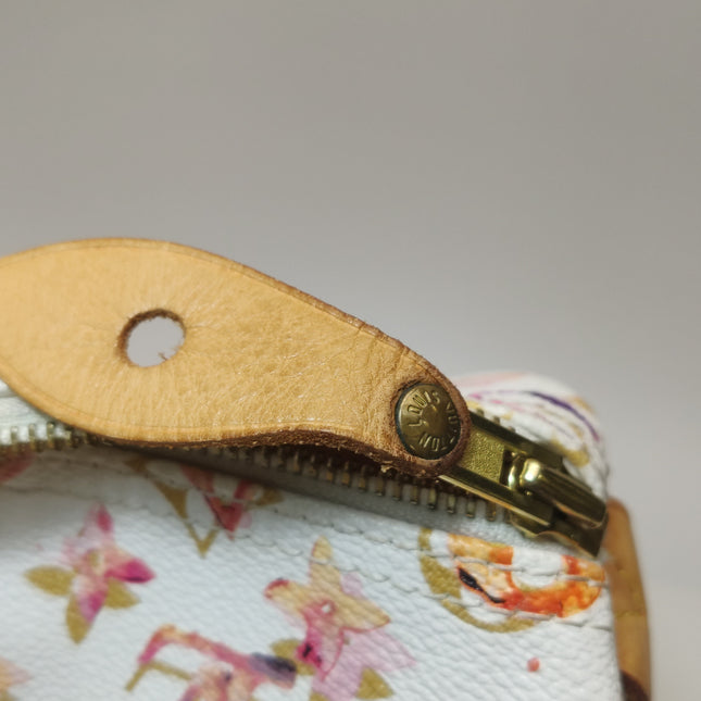 Louis Vuitton Speedy 35 Monogram Watercolor Pink Handbag Richard Prince 2008