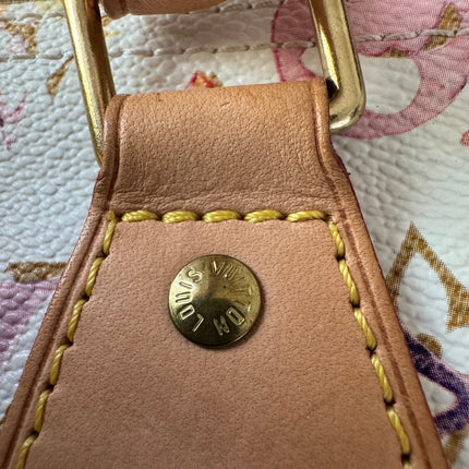 Louis Vuitton Speedy 35 Monogram Watercolor Pink Handbag Richard Prince 2008