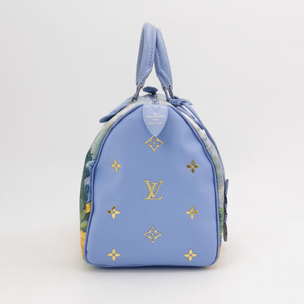 Louis Vuitton x Jeff Koons Speedy 30 Van Gogh Top Handle Bag