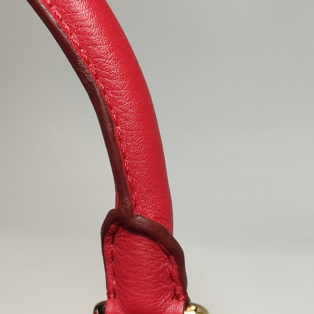 Loewe Amazona 36 Medium Red Leather Horse Lock Gold-tone Hardware