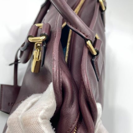 Loewe Amazona 28 in Burgundy Calfskin Leather and Gold-tone Hardware
