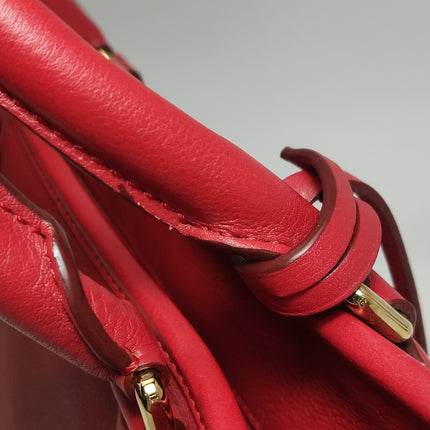 Loewe Amazona 36 Medium Red Leather Horse Lock Gold-tone Hardware