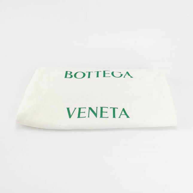 Bottega Veneta Pouch Mini Leather Parakeet Green