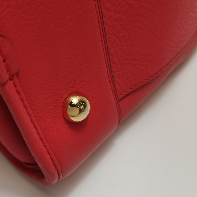 Loewe Amazona 36 Medium Red Leather Snail Lock Gold-tone Hardware