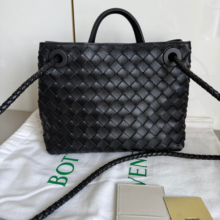 Bottega Veneta Small Andiamo Black Intrecciato Handbag 2023