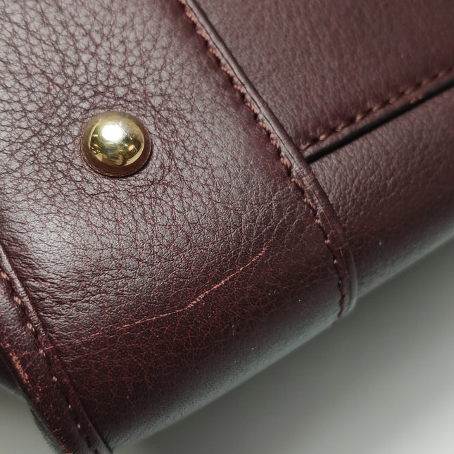 Loewe Amazona 28 in Burgundy Calfskin Leather and Gold-tone Hardware