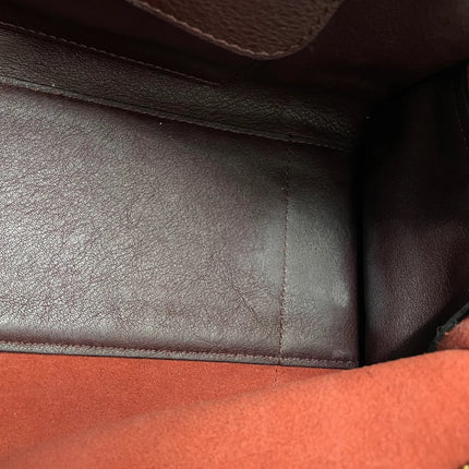 Loewe Amazona 28 in Burgundy Calfskin Leather and Gold-tone Hardware