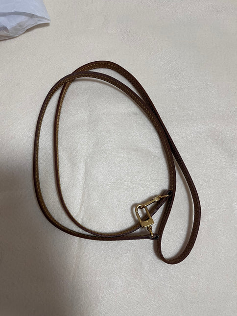 Sold Louis Vuitton pochette accessoires classic brown Modern