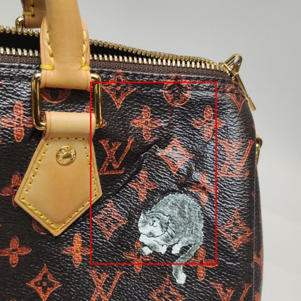 Louis Vuitton Speedy 30 Bandouliere Limited Edition Grace Coddington Catogram Brown