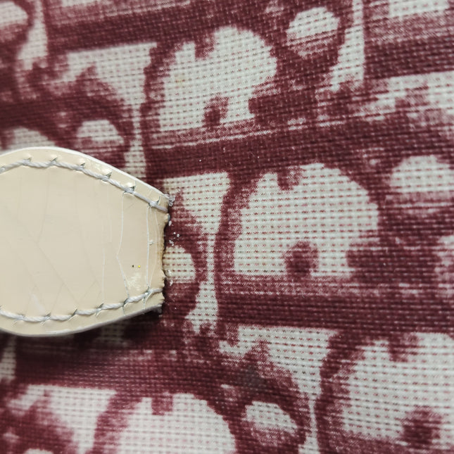 Dior No. 1 Rasta Trotter Bowling Bag Red Oblique Canvas White Patent Leather