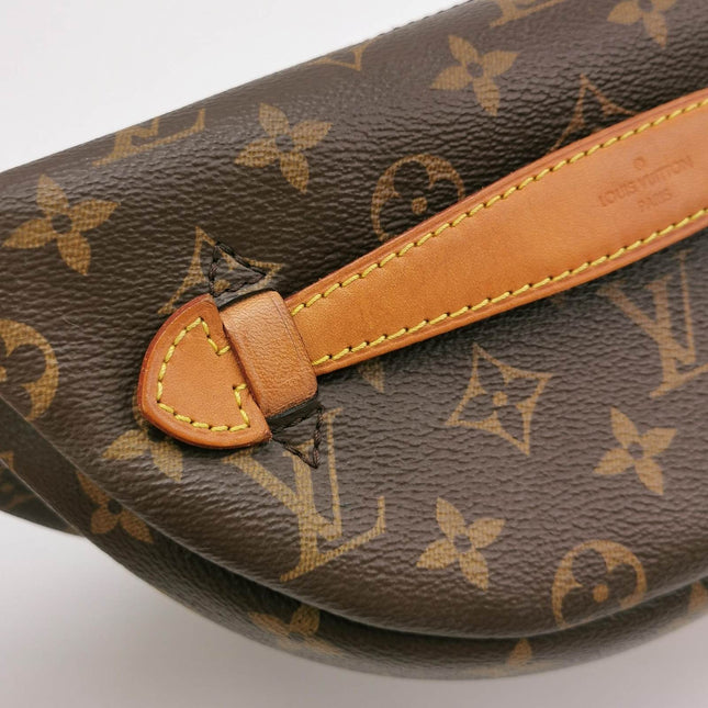 Sold Louis Vuitton Bumbag Monogram Brown 2020