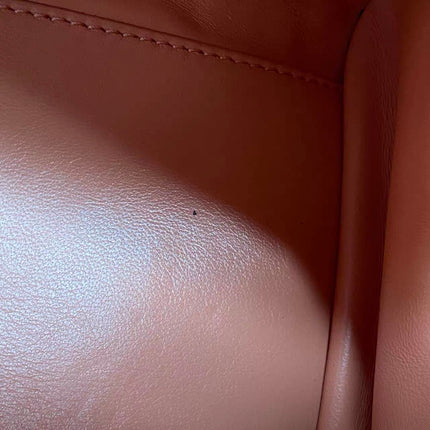 Loewe Amazona 28 in Orange Leather Goat Special Edition