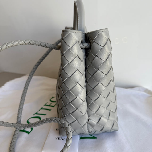 Bottega Veneta Small Andiamo Grey Handbag