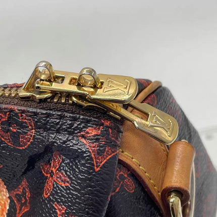 Louis Vuitton Speedy 30 Bandouliere Limited Edition Grace Coddington Catogram Brown
