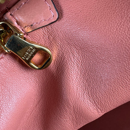 Loewe Amazona Medium 36 Light Coral Leather With Strap Goat Animal Lock