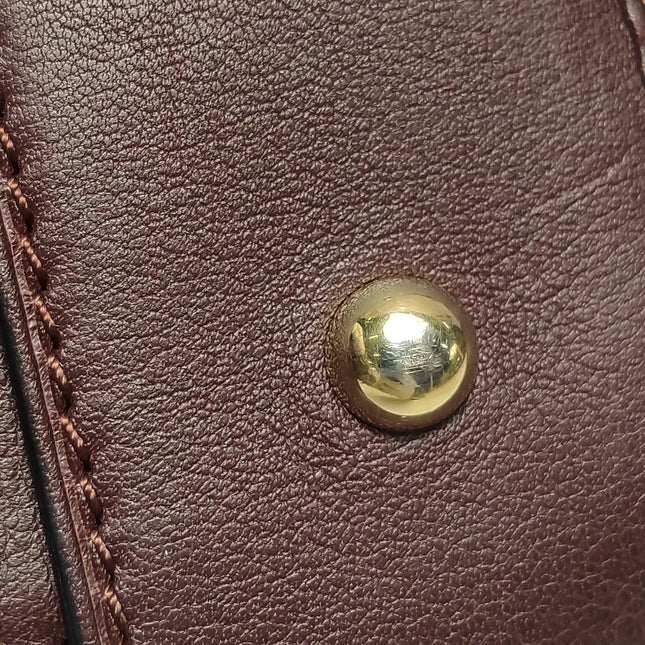 Loewe Amazona 28 in Burgundy Calfskin Leather and Gold-tone Hardware