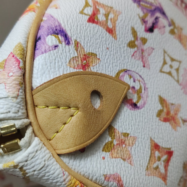 Louis Vuitton Speedy 35 Monogram Watercolor Pink Handbag Richard Prince 2008
