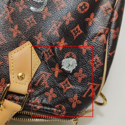 Louis Vuitton Speedy 30 Bandouliere Limited Edition Grace Coddington Catogram Brown
